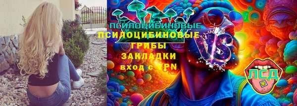 МДПВ Аркадак