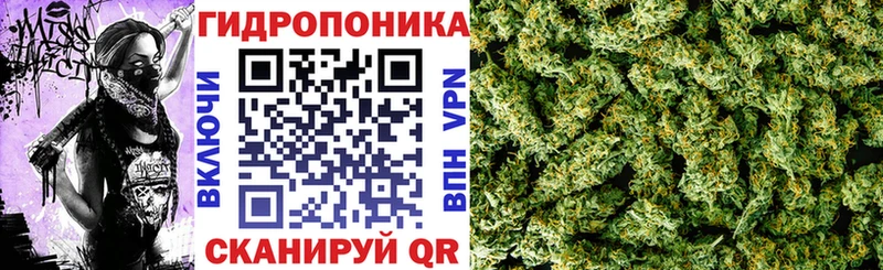 сайты даркнета наркотические препараты  где найти наркотики  Байкальск  МАРИХУАНА Ganja 